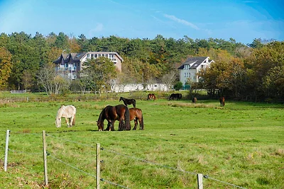 Haus Frauenpreiss F213