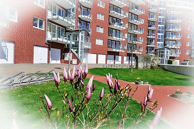 Haus Nordseebrandung NC56