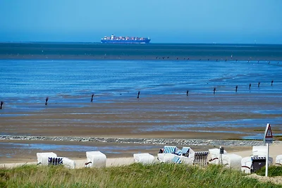 Beach Lodge BL03