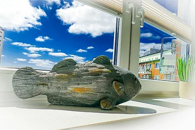 Haus Nordseebrandung NA55