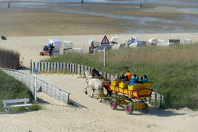 Am Sahlenburger Strand AS07