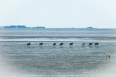 Am Sahlenburger Strand AS10