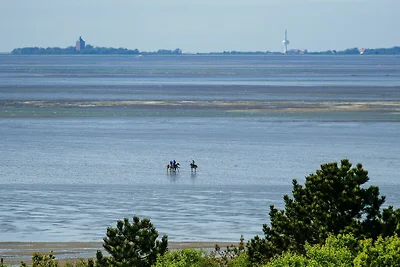 Haus Nordseebrandung NA72