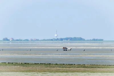 Haus Dünenweg 37 DU03