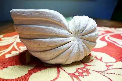 Haus Nordseebrandung NC41