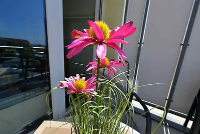 Haus Nordseebrandung ND24