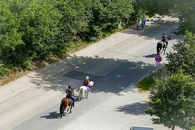 Haus Nordseebrandung NB63