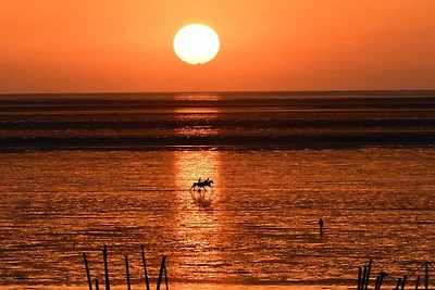 apartman za odmor Obiteljski odmor Cuxhaven