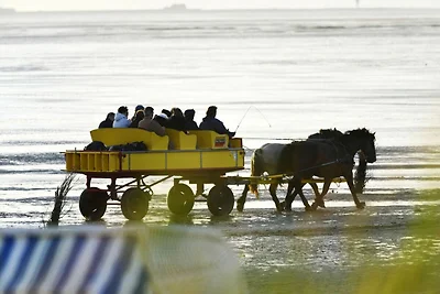 Haus Nordseebrandung ND62