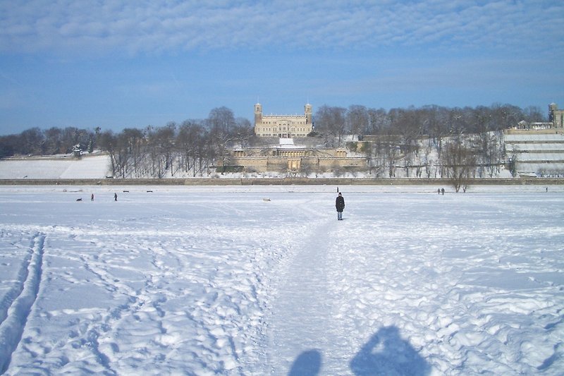 Schloss Albrechtsberg von Blasewitz aus gesehen