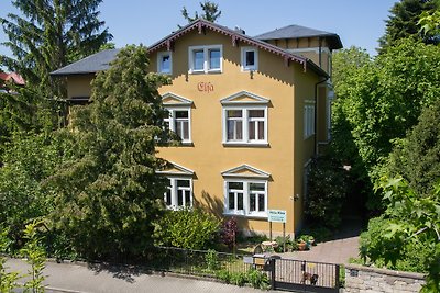 Ferienhaus der "Villa Elsa" Dresden