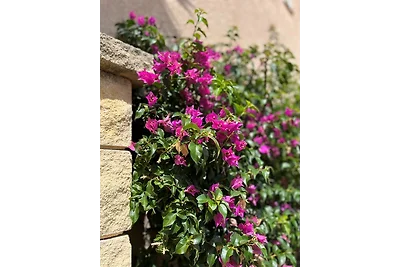 Villa Les Collines d´Antibes