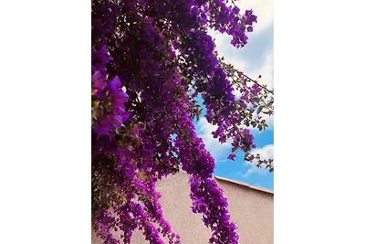 Villa Les Collines d'Antibes