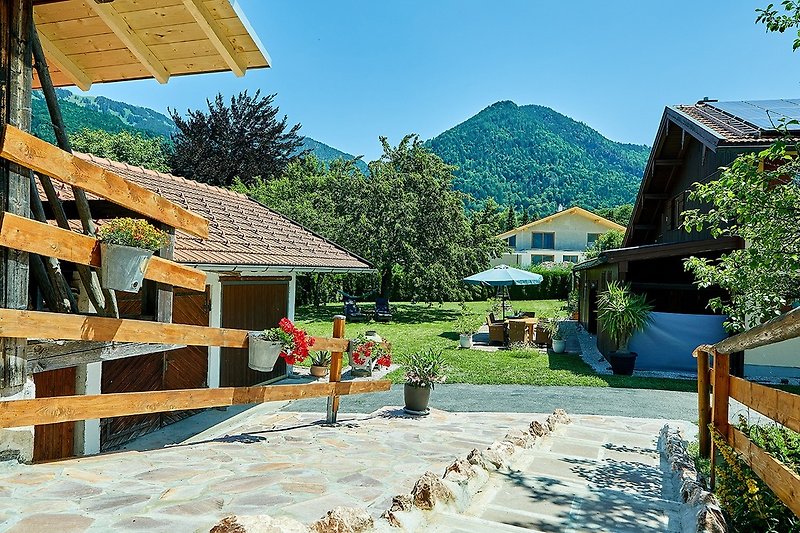 Blick in den Garten
