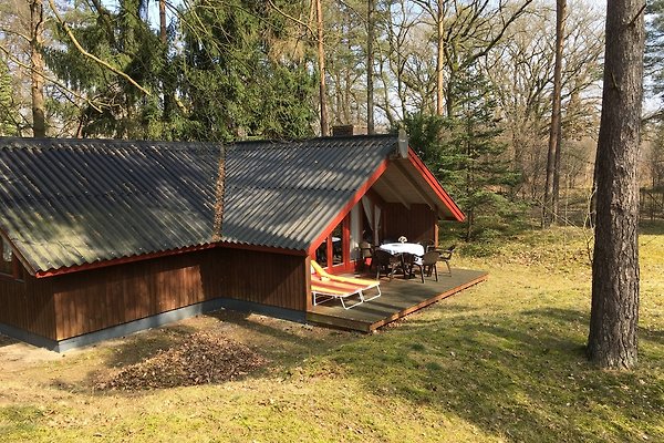 Ferienhaus Gartow am See