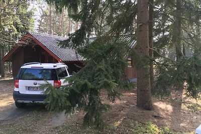 Ferienhaus Jutta