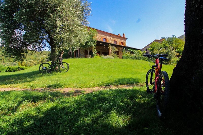 Noleggia una bicicletta e goditi il paesaggio rurale. Rilassati nella natura e fai una passeggiata in bicicletta.