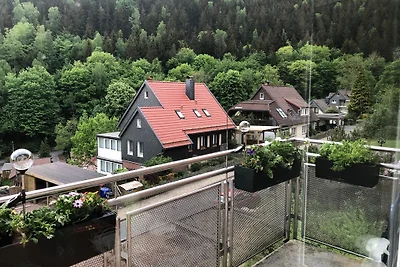 Harmonia im Harz