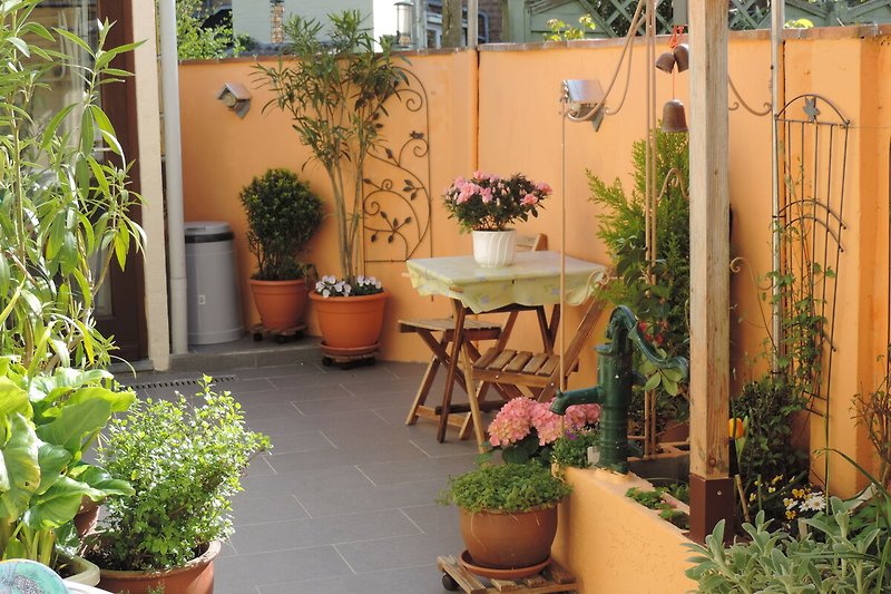 Schöner kleiner Garten mit Pflanzen und Blumen. Perfekt zum Entspannen im Freien.