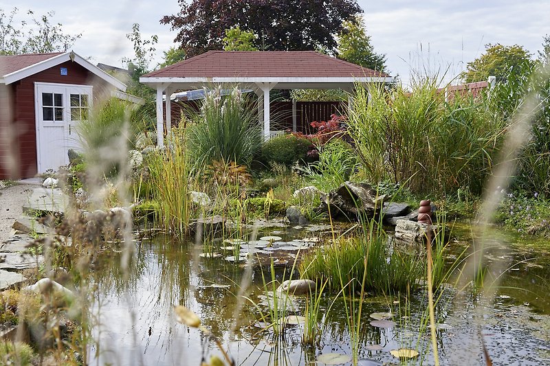 Der Garten mit kleinem Teich mit Pavillion