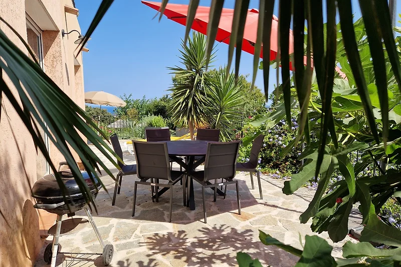 Palmen, Gartenmöbel und blühende Pflanzen im schattigen Innenhof