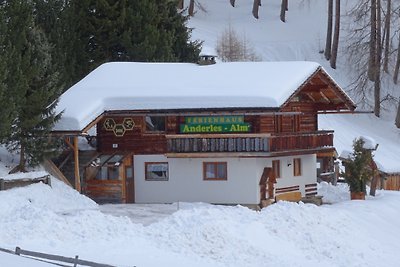 Ferienhaus Anderles-Alm