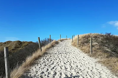 Seepferdchen