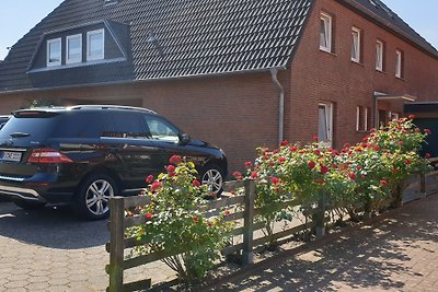 Vakantiewoning Seestern