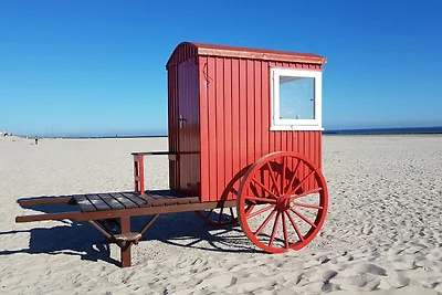 Wohnung Südstrand