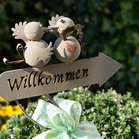 Frau M. Saxler Frau M. Saxler