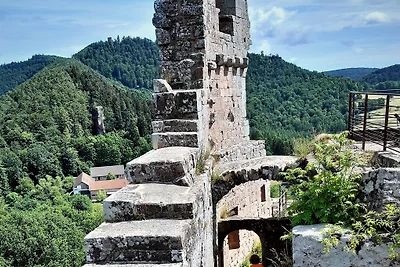 Ferienhaus Wilgartswiesen