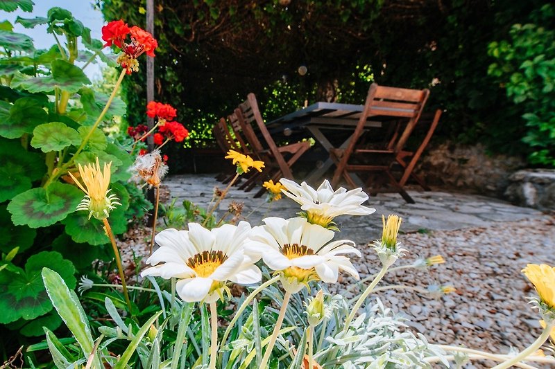 Prekrasan vrt s cvijećem, stolom i stolicama na travnjaku.