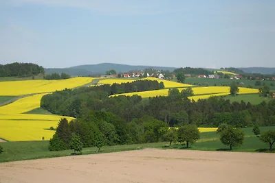Haus Falkensteinblick