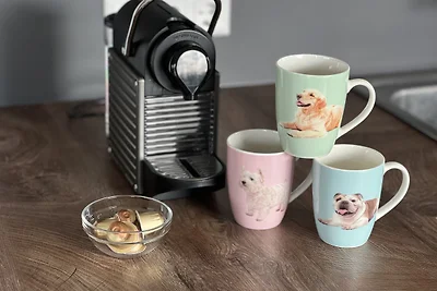 Domek letniskowy Casa Cavallo