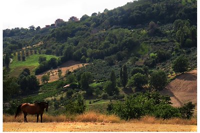 Agriturismo San Lorenzo