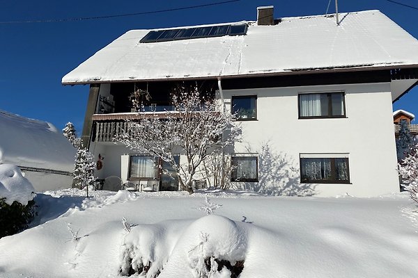 Ferienwohnung Titisee-Neustadt