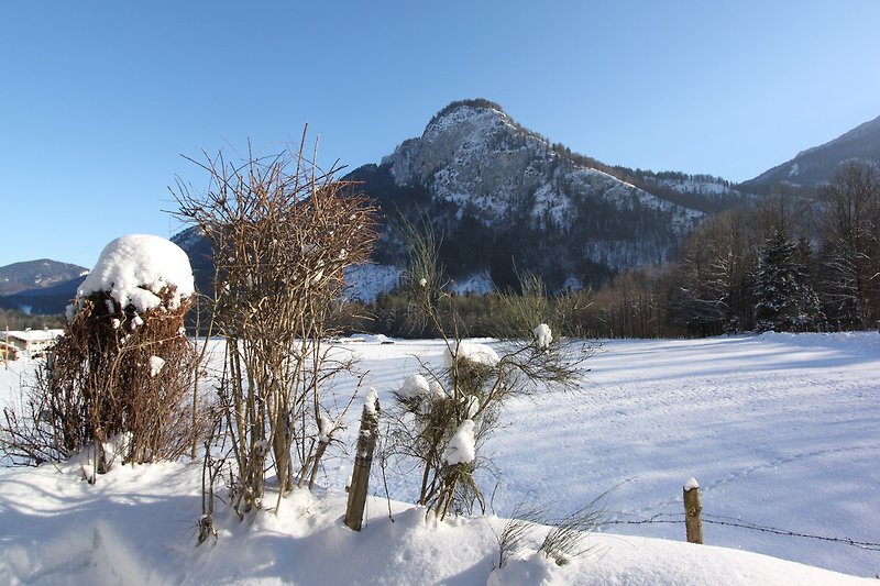Winter Blick ins Tal