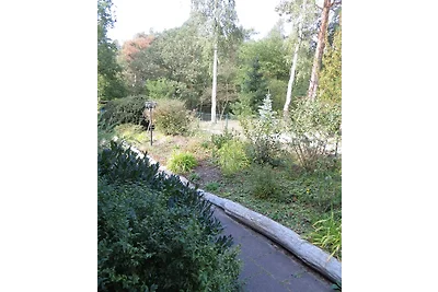 Ferienwohnung Waldmeister