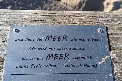 Sonnige 1 Raum Wohnung