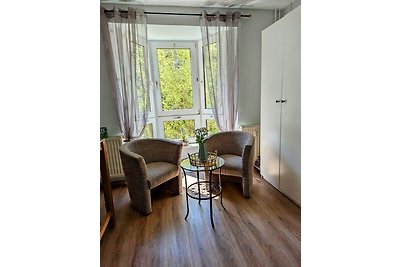 Sunny 1 room flat