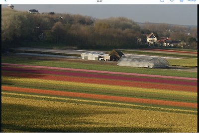 bloementuin