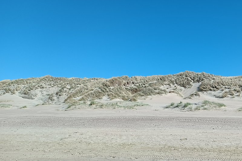 An der Nordsee: Strand mit Dünen