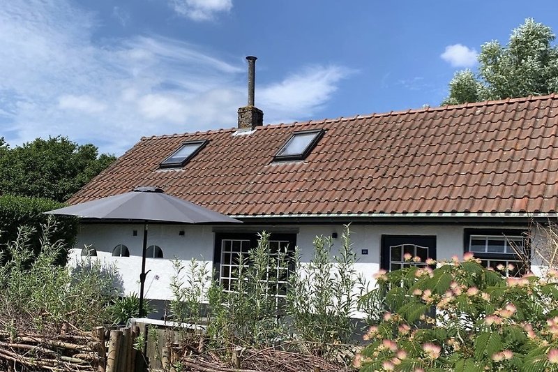 Gemütliches Landhaus mit Garten, Terrasse und grüner Umgebung.