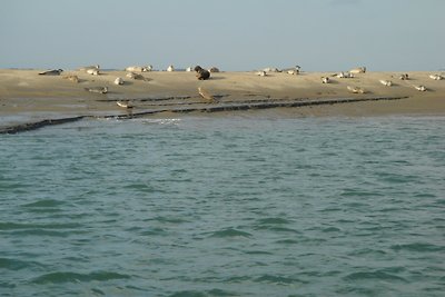 Slapen aan de Schelde