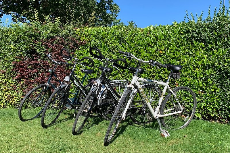 Vier Fahrräder stehen zur Verfügung