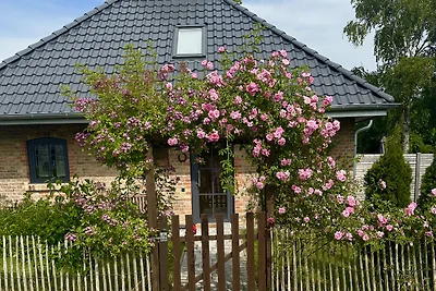 Ostsee Ferienhaus Landhaus1884