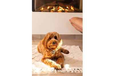 Villa Wilgenhaege Wellness Plus mit Sauna und...