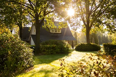 Villa Beukelaer Wellness mit Sauna | 4...