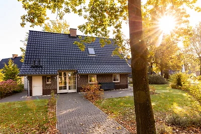 Villa Beukelaer Wellness Plus mit Sauna und W...