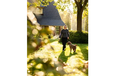 Villa Beukelaer Wellness Plus mit Sauna und W...